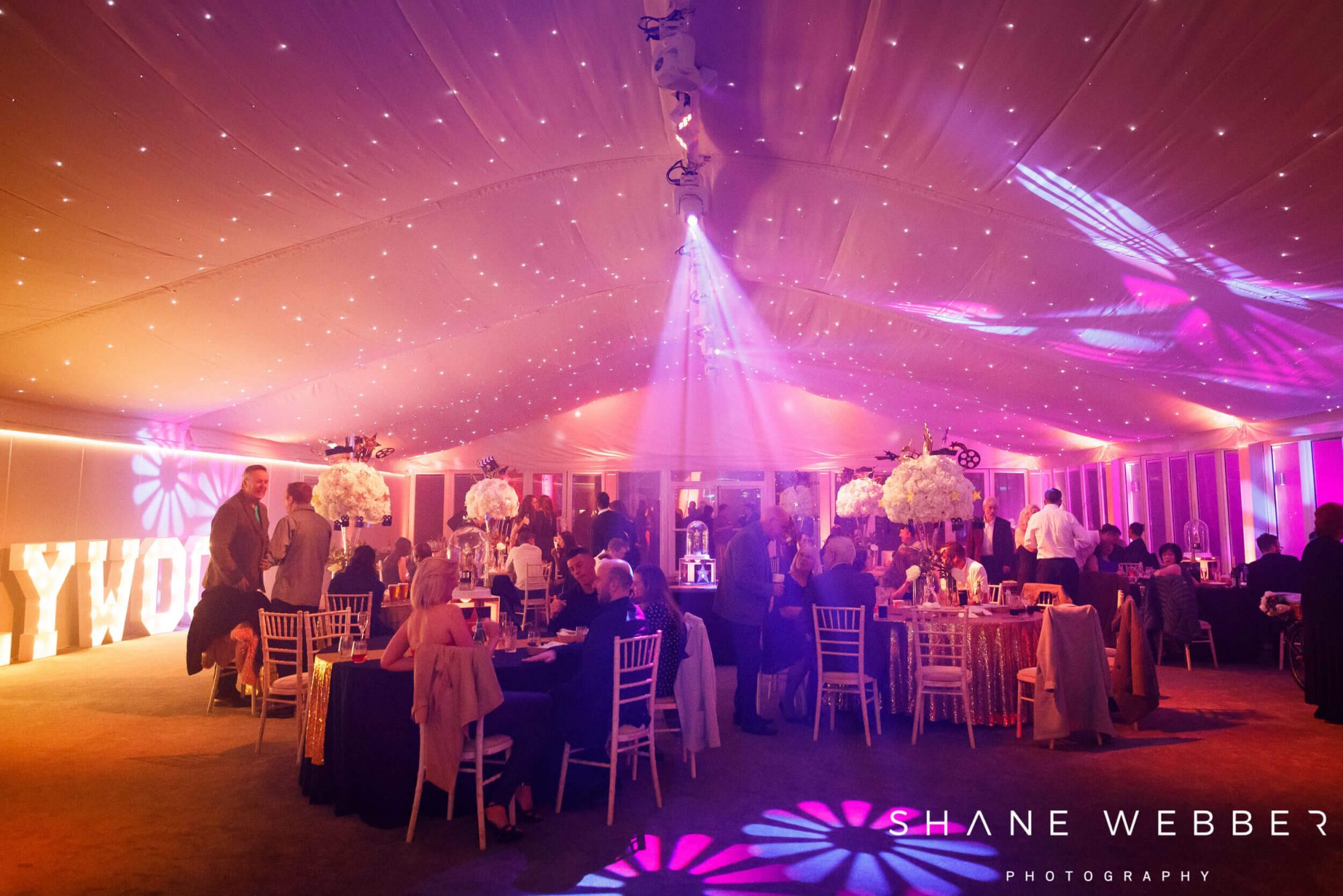 Nunsmere Hall Hipswing